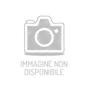 Unita Lampeggiatore 24V